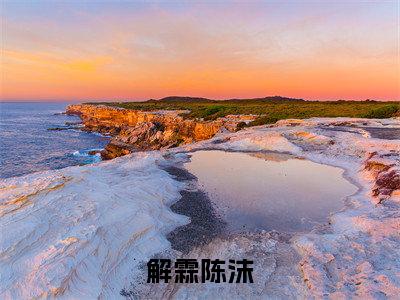 陈沫解霖最后结局如何,解霖陈沫强推全文阅读无弹窗