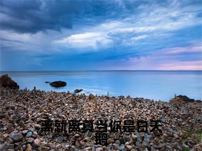 叶辰小说离就离真当你是白天鹅全文免费阅读无弹窗-正版小说叶辰全文阅读（后续+免费）