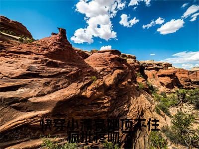 快穿小漂亮她顶不住疯批疼吻了全文（舒染）全文免费阅读无弹窗大结局_舒染免费最新章节列表_笔趣阁（快穿小漂亮她顶不住疯批疼吻了）