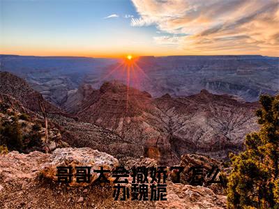 热文(哥哥太会撒娇了怎么办魏旎)在线阅读-(哥哥太会撒娇了怎么办魏旎)完整版免费阅读全文最新章节列表_笔趣阁