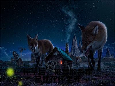 霍见深宋西棠小说(怀孕后,被禁欲系霍总抱在怀里宠)全文免费阅读无弹窗大结局_(霍见深宋西棠免费阅读全文大结局)最新章节列表