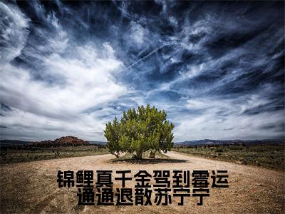 锦鲤真千金驾到霉运通通退散苏宁宁（苏宁宁许悠悠）全文免费阅读无弹窗大结局_（锦鲤真千金驾到霉运通通退散苏宁宁免费阅读）苏宁宁许悠悠无弹窗最新章节列表