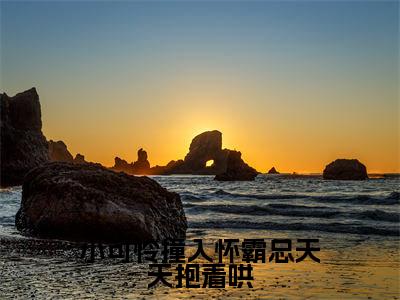 小可怜撞入怀霸总天天抱着哄(宋琦琦孙熠柠)全文免费阅读无弹窗_(宋琦琦孙熠柠)小可怜撞入怀霸总天天抱着哄最新章节列表