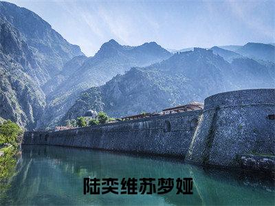 陆奕维苏梦娅(苏梦娅陆奕维)免费阅读完整版-(陆奕维苏梦娅小说)苏梦娅陆奕维全文大结局已完结
