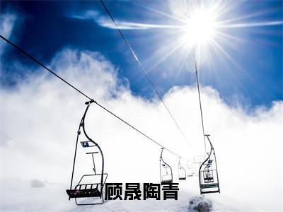 陶青顾晟(顾晟陶青)小说全文无删减-陶青顾晟小说免费阅读大结局