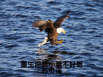 热门小说苏灵溪全文免费阅读无弹窗大结局-重生逆袭小妻不好惹苏灵溪全文无弹窗免费阅读大结局
