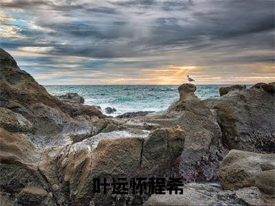 程希叶远怀(叶远怀程希)免费阅读无弹窗大结局-叶远怀程希完整版最新阅读