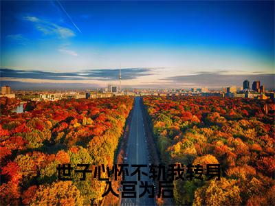 世子心怀不轨我转身入宫为后(盛星词)全文免费阅读无弹窗大结局_(盛星词小说免费阅读)最新章节列表_笔趣阁