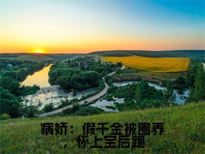 主角是白梦鱼沈听肆的小说叫什么名字病娇:假千金被圈养,怀上宝后跑-老书虫书荒推荐热点小说病娇:假千金被圈养,怀上宝后跑(白梦鱼沈听肆)