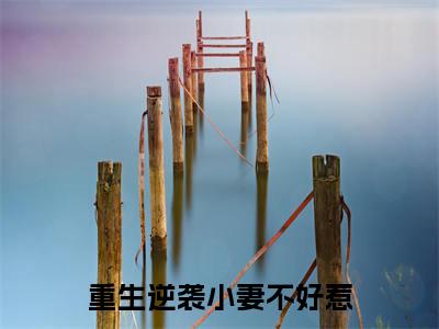 苏灵溪小说(重生逆袭小妻不好惹)全文免费阅读无弹窗大结局_重生逆袭小妻不好惹小说最新章节列表_笔趣阁(苏灵溪)
