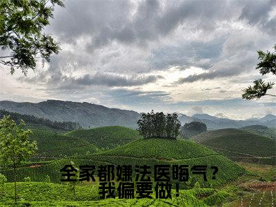 全家都嫌法医晦气?我偏要做!(余灿)全文免费阅读无弹窗-余灿小说完整版在线阅读