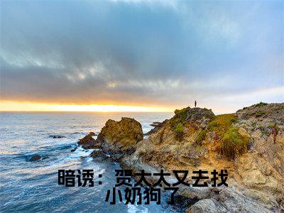 暗诱:贺太太又去找小奶狗了全文免费在线阅读_(温欲晚贺庭舟全文免费阅读无弹窗大结局)暗诱:贺太太又去找小奶狗了最新章节列表_笔趣阁