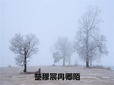 楚穆宸冉卿陌(楚穆宸冉卿陌)全文免费阅读无弹窗大结局_(楚穆宸冉卿陌小说免费阅读)_笔趣阁