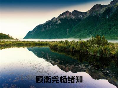 杨绪知顾衡尧小说免费阅读顾衡尧杨绪知全文无弹窗试读