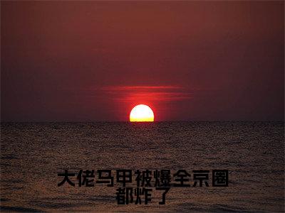 大佬马甲被爆全京圈都炸了小说全文大结局-大佬马甲被爆全京圈都炸了(姜野陆骁)小说全文免费阅读