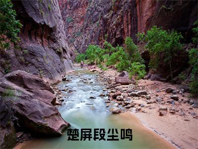 楚屏段尘鸣(段尘鸣楚屏)小说小说全集段尘鸣楚屏无删减在线阅读
