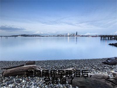 她隐瞒怀孕跳海后,总裁疯了小说(顾昀禾宋乔)全文免费阅读无弹窗大结局_她隐瞒怀孕跳海后,总裁疯了全文免费完结版阅读(顾昀禾宋乔)