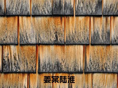 （姜棠陆淮）小说全文免费阅读无弹窗大结局_陆淮姜棠姜棠陆淮最新章节列表笔趣阁