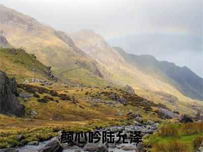 陆允泽颜心吟小说在线阅读颜心吟陆允泽无广告小说免费在线阅读(免费)+(结局)