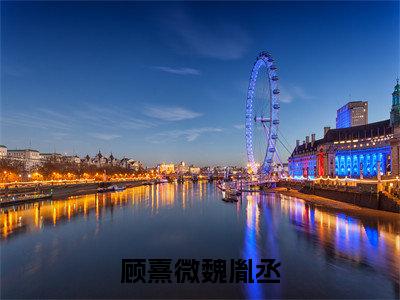 魏胤丞顾熹微小说(顾熹微魏胤丞)全文免费阅读无弹窗大结局_顾熹微魏胤丞小说最新章节列表_笔趣阁(魏胤丞顾熹微)