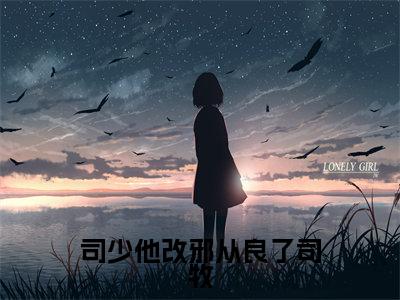 司少他改邪从良了司牧免费阅读（孟梒司牧）完整版全文全章节阅读