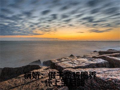 病娇：假千金被圈养，怀上宝后跑小说全文免费阅读_（病娇：假千金被圈养，怀上宝后跑）白梦鱼沈听肆小说最新章节列表笔趣阁