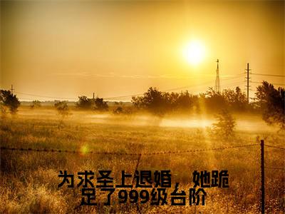 为求圣上退婚,她跪足了999级台阶小说无弹窗(宋南栀萧景渊)全文免费阅读无弹窗大结局_宋南栀萧景渊最新章节列表_笔趣阁