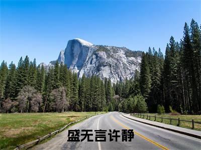 许静盛无言(盛无言许静)是什么小说_主角是(许静盛无言)的小说(盛无言许静)最新章节无弹窗阅读