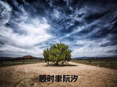 顾时聿阮汐(阮汐顾时聿)全文免费阅读无弹窗大结局_顾时聿阮汐最新章节列表_笔趣阁