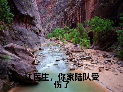江医生,你家陆队受伤了热门推荐小说(陆京江也)精彩章节阅读-江医生,你家陆队受伤了全文免费在线阅读_笔趣阁