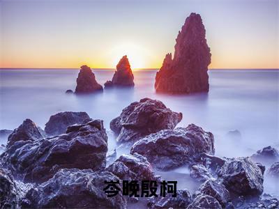 主角是岑晚殷柯的小说-岑晚殷柯全文无弹窗免费阅读