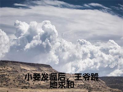 小妾发疯后，王爷跪地求和（玥南宸蓝水瑶）小说全文免费阅读正版无弹窗，小妾发疯后，王爷跪地求和免费阅读