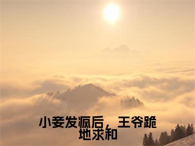 小说蓝水瑶玥南宸（小妾发疯后，王爷跪地求和小说免费阅读）完结阅读，蓝水瑶玥南宸在线阅读