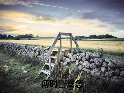 热文安念傅时璟在线免费读-傅时璟安念的小说（安念傅时璟）完整版免费读全文