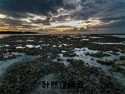 主角叫江栩安叶然的小说-(叶然江栩安)江栩安叶然全文无弹窗完整版阅读