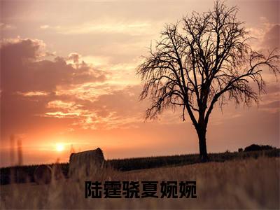 陆霆骁夏婉婉（陆霆骁夏婉婉）全文免费阅读无弹窗大结局_陆霆骁夏婉婉全文大结局最新章节列表_笔趣阁