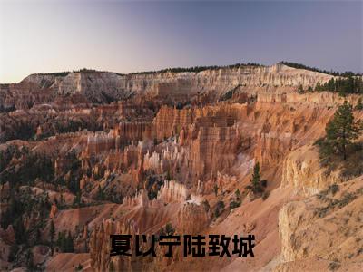 夏以宁陆致城夏以宁陆致城小说-夏以宁陆致城小说免费阅读