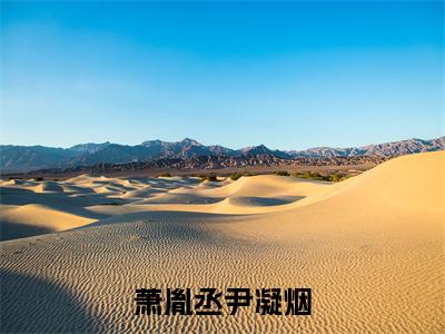萧胤丞尹凝烟(尹凝烟萧胤丞)免费全文阅读小说_萧胤丞尹凝烟免费在线阅读(尹凝烟萧胤丞)小说最新章节列表