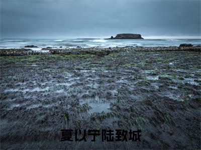 夏以宁陆致城精彩章节在线阅读_夏以宁陆致城免费观看(夏以宁陆致城)完结版_笔趣阁(夏以宁陆致城)
