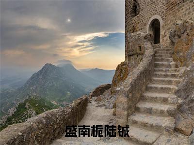 盛南栀陆铖（盛南栀陆铖全章节完整版）免费阅读_盛南栀陆铖（盛南栀陆铖）最新章节列表笔趣阁