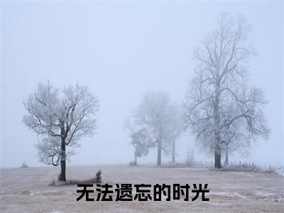 无法遗忘的时光(姜振廷)全文免费阅读无弹窗_无法遗忘的时光:姜振廷最新小说_笔趣阁