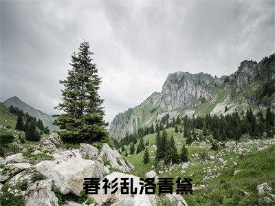 春衫乱洛青黛(洛青黛)全文免费阅读无弹窗大结局_春衫乱洛青黛最新章节列表-笔趣阁洛青黛