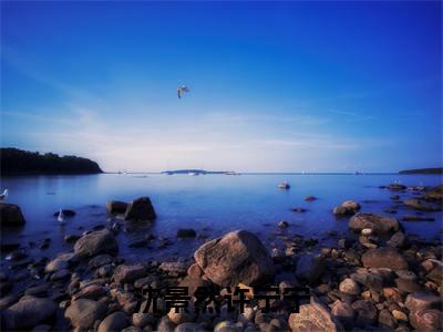 许宁宁沈景然（沈景然许宁宁）小说全文-许宁宁沈景然无弹窗免费阅读