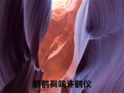 姜暖竹许鹤仪(鹤鹤有鸣许鹤仪)未删减-姜暖竹许鹤仪完结版阅读地址