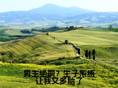 男主绝嗣?生子系统让我又多胎了(叶婉欣)全文免费阅读无弹窗大结局-男主绝嗣?生子系统让我又多胎了免费阅读全文大结局-笔趣阁