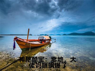 乔安沐霍云霆(神秘酷宝:爹地,大佬妈咪飒爆了)免费阅读无弹窗大结局-神秘酷宝:爹地,大佬妈咪飒爆了(最新全章节大结局)全文阅读