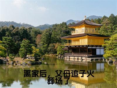 离家后,父母追子火葬场了全文免费阅读无弹窗大结局_(许默谢冰艳)离家后,父母追子火葬场了在线阅读无弹窗