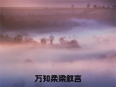 万知柔梁叙言(梁叙言万知柔)全文免费阅读无弹窗大结局_万知柔梁叙言全文免费完结版阅读(梁叙言万知柔)