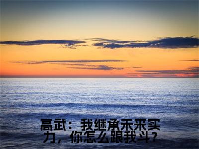 高武：我继承未来实力，你怎么跟我斗？小说（林楚）小说全文无删减版在线阅读_林楚小说最新章节列表