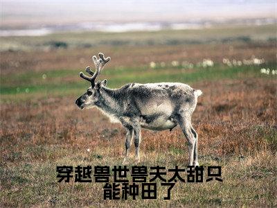 穿越兽世兽夫太甜只能种田了(塞洛薇亚)免费小说-塞洛薇亚全文阅读目录